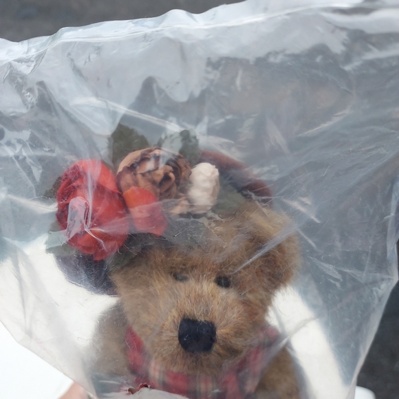 Boyds Bear Lizzie Wishkabibble Day NWT And Small Story Book- sealed original bag - Picture 2 of 5